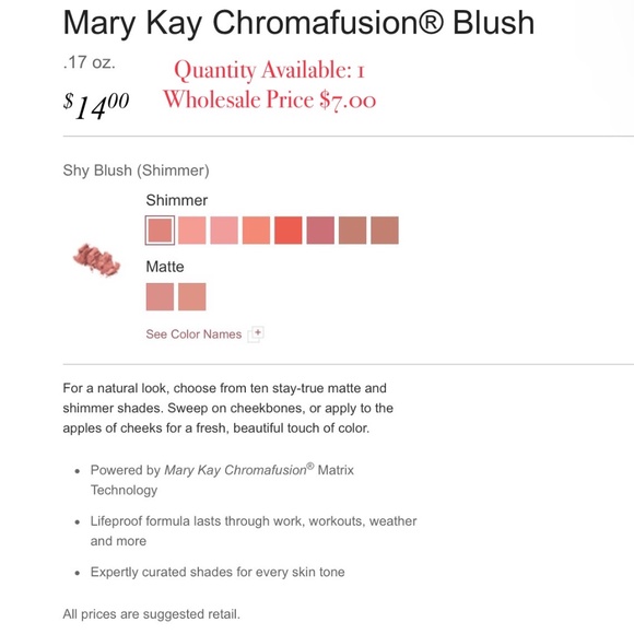 Mary Kay Chromafusion Blush - Shy Blush - Picture 2 of 2